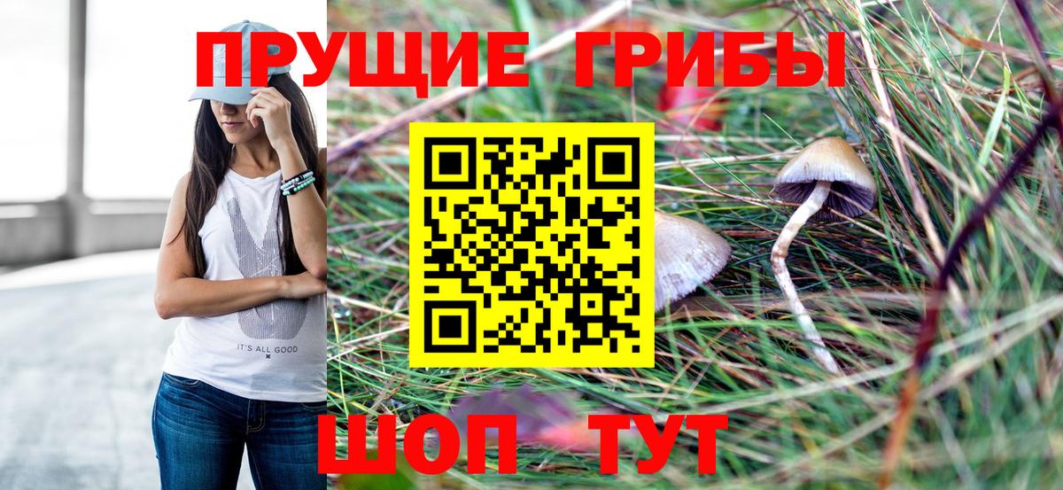 Галлюциногенные грибы Psilocybe  Вход с VPN  Симферополь 