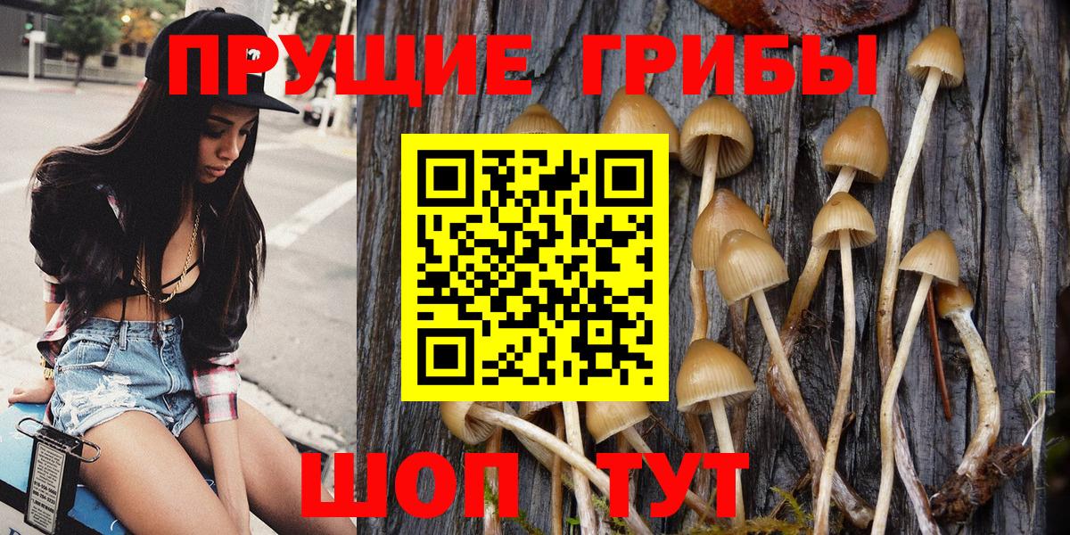 Галлюциногенные грибы Cubensis Симферополь
